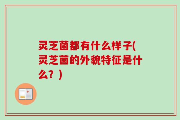 灵芝菌都有什么样子(灵芝菌的外貌特征是什么?)-第1张图片-卓越灵芝孢子粉 灵芝菌都有什么样子(灵芝菌的外貌特征是什么?)-第1张图片-卓越灵芝孢子粉