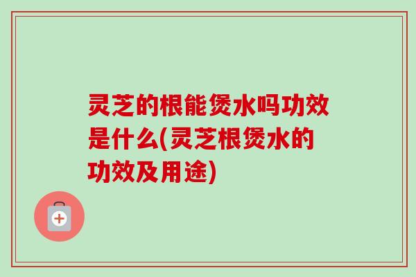 灵芝的根能煲水吗功效是什么(灵芝根煲水的功效及用途)-第1张图片-卓越灵芝孢子粉