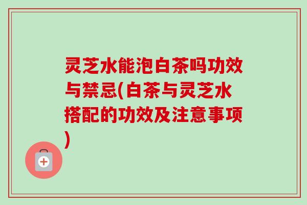 灵芝水能泡白茶吗功效与禁忌(白茶与灵芝水搭配的功效及注意事项)-第1张图片-卓越灵芝孢子粉 灵芝水能泡白茶吗功效与禁忌(白茶与灵芝水搭配的功效及注意事项)-第1张图片-卓越灵芝孢子粉