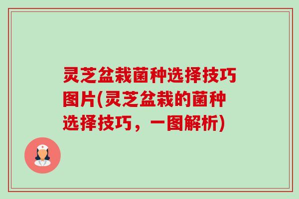 灵芝盆栽菌种选择技巧图片(灵芝盆栽的菌种选择技巧,一图解析)-第1张图片-卓越灵芝孢子粉 灵芝盆栽菌种选择技巧图片(灵芝盆栽的菌种选择技巧,一图解析)-第1张图片-卓越灵芝孢子粉