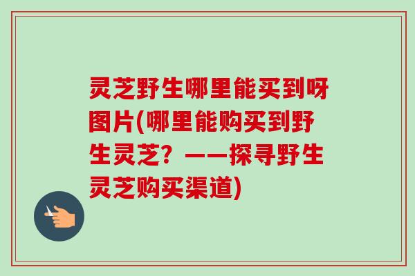 灵芝野生哪里能买到呀图片(哪里能购买到野生灵芝?——探寻野生灵芝购买渠道)-第1张图片-卓越灵芝孢子粉 灵芝野生哪里能买到呀图片(哪里能购买到野生灵芝?——探寻野生灵芝购买渠道)-第1张图片-卓越灵芝孢子粉