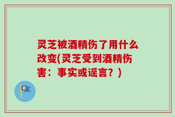 灵芝被酒精伤了用什么改变(灵芝受到酒精伤害:事实或谣言?)-第1张图片-卓越灵芝孢子粉 灵芝被酒精伤了用什么改变(灵芝受到酒精伤害:事实或谣言?)-第1张图片-卓越灵芝孢子粉