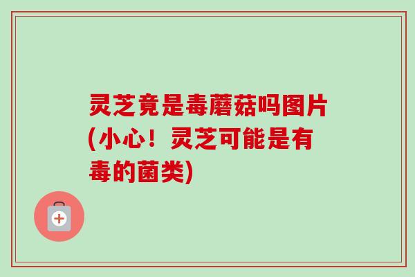 灵芝竟是毒蘑菇吗图片(小心!灵芝可能是有毒的菌类)-第1张图片-卓越灵芝孢子粉 灵芝竟是毒蘑菇吗图片(小心!灵芝可能是有毒的菌类)-第1张图片-卓越灵芝孢子粉