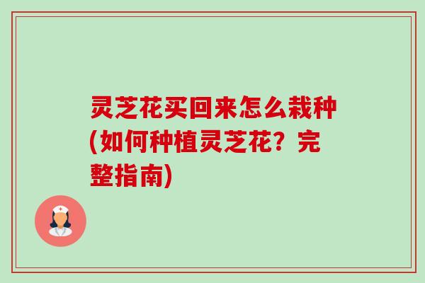 灵芝花买回来怎么栽种(如何种植灵芝花?完整指南)-第1张图片-卓越灵芝孢子粉 灵芝花买回来怎么栽种(如何种植灵芝花?完整指南)-第1张图片-卓越灵芝孢子粉