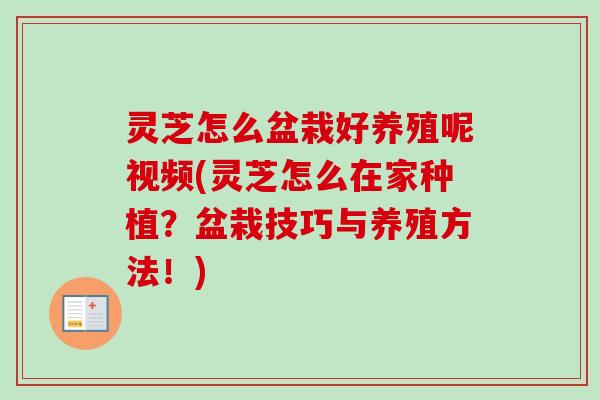 灵芝怎么盆栽好养殖呢视频(灵芝怎么在家种植?盆栽技巧与养殖方法!)-第1张图片-卓越灵芝孢子粉 灵芝怎么盆栽好养殖呢视频(灵芝怎么在家种植?盆栽技巧与养殖方法!)-第1张图片-卓越灵芝孢子粉