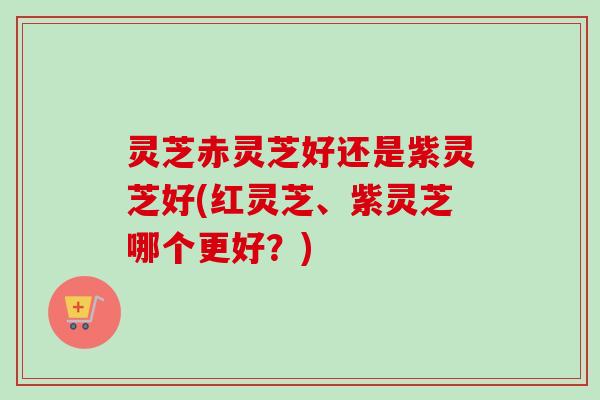 灵芝赤灵芝好还是紫灵芝好(红灵芝、紫灵芝哪个更好?)-第1张图片-卓越灵芝孢子粉 灵芝赤灵芝好还是紫灵芝好(红灵芝、紫灵芝哪个更好?)-第1张图片-卓越灵芝孢子粉