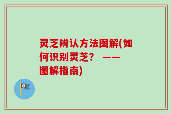 灵芝辨认方法图解(如何识别灵芝? —— 图解指南)-第1张图片-卓越灵芝孢子粉 灵芝辨认方法图解(如何识别灵芝? —— 图解指南)-第1张图片-卓越灵芝孢子粉