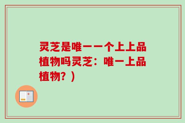 灵芝是唯一一个上上品植物吗灵芝:唯一上品植物?)-第1张图片-卓越灵芝孢子粉 灵芝是唯一一个上上品植物吗灵芝:唯一上品植物?)-第1张图片-卓越灵芝孢子粉