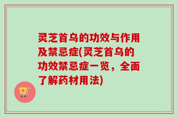 灵芝首乌的功效与作用及禁忌症(灵芝首乌的功效禁忌症一览,全面了解药材用法)-第1张图片-卓越灵芝孢子粉 灵芝首乌的功效与作用及禁忌症(灵芝首乌的功效禁忌症一览,全面了解药材用法)-第1张图片-卓越灵芝孢子粉