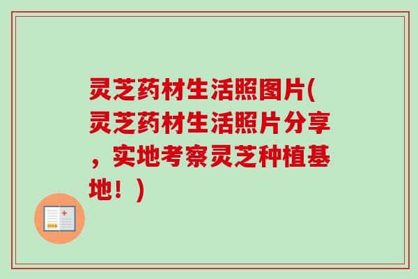 灵芝药材生活照图片(灵芝药材生活照片分享，实地考察灵芝种植基地！)-第1张图片-卓越灵芝孢子粉
