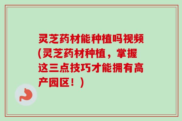 灵芝药材能种植吗视频(灵芝药材种植,掌握这三点技巧才能拥有高产园区!)-第1张图片-卓越灵芝孢子粉 灵芝药材能种植吗视频(灵芝药材种植,掌握这三点技巧才能拥有高产园区!)-第1张图片-卓越灵芝孢子粉