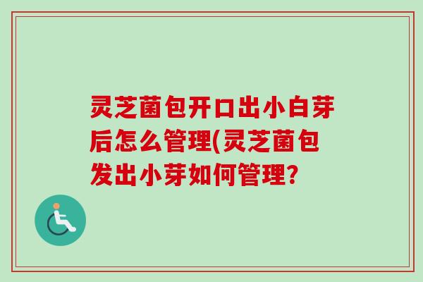 灵芝菌包开口出小白芽后怎么管理(灵芝菌包发出小芽如何管理?-第1张图片-卓越灵芝孢子粉 灵芝菌包开口出小白芽后怎么管理(灵芝菌包发出小芽如何管理?-第1张图片-卓越灵芝孢子粉