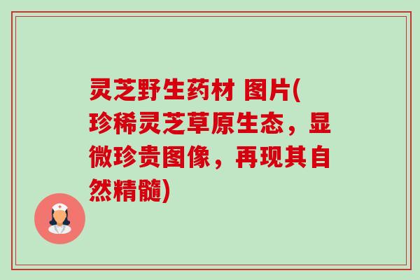 灵芝野生药材 图片(珍稀灵芝草原生态,显微珍贵图像,再现其自然精髓)-第1张图片-卓越灵芝孢子粉 灵芝野生药材 图片(珍稀灵芝草原生态,显微珍贵图像,再现其自然精髓)-第1张图片-卓越灵芝孢子粉