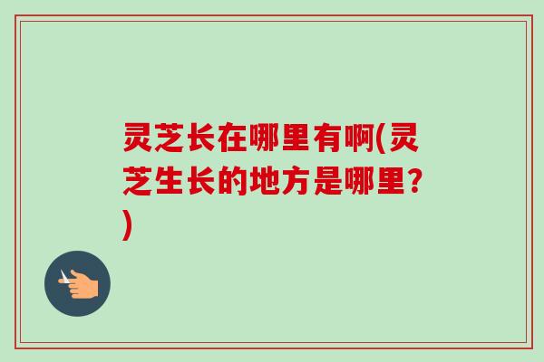 灵芝长在哪里有啊(灵芝生长的地方是哪里？)-第1张图片-卓越灵芝孢子粉