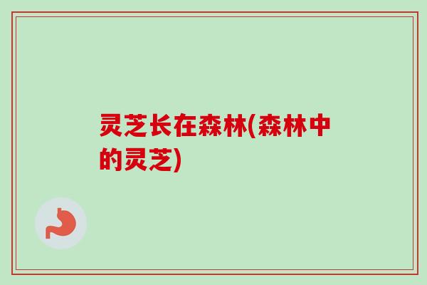 灵芝长在森林(森林中的灵芝)-第1张图片-卓越灵芝孢子粉 灵芝长在森林(森林中的灵芝)-第1张图片-卓越灵芝孢子粉