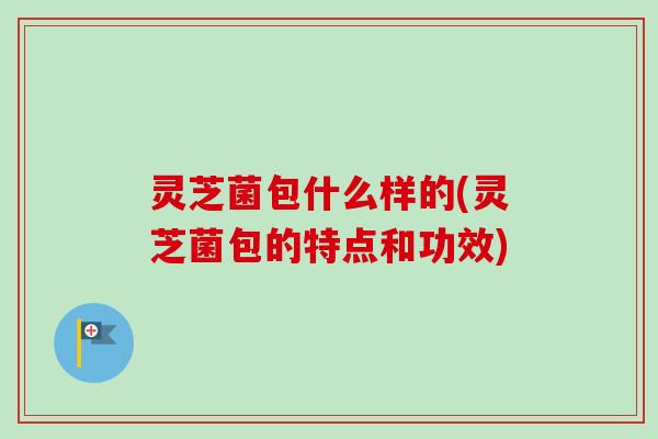 灵芝菌包什么样的(灵芝菌包的特点和功效)-第1张图片-卓越灵芝孢子粉 灵芝菌包什么样的(灵芝菌包的特点和功效)-第1张图片-卓越灵芝孢子粉
