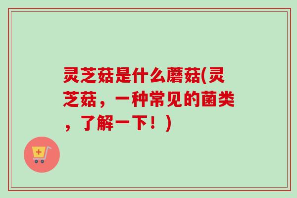 灵芝菇是什么蘑菇(灵芝菇,一种常见的菌类,了解一下!)-第1张图片-卓越灵芝孢子粉 灵芝菇是什么蘑菇(灵芝菇,一种常见的菌类,了解一下!)-第1张图片-卓越灵芝孢子粉