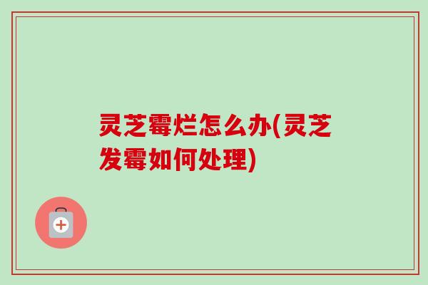 灵芝霉烂怎么办(灵芝发霉如何处理)-第1张图片-卓越灵芝孢子粉 灵芝霉烂怎么办(灵芝发霉如何处理)-第1张图片-卓越灵芝孢子粉