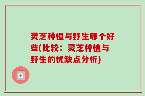 灵芝种植与野生哪个好些(比较:灵芝种植与野生的优缺点分析)-第1张图片-卓越灵芝孢子粉 灵芝种植与野生哪个好些(比较:灵芝种植与野生的优缺点分析)-第1张图片-卓越灵芝孢子粉