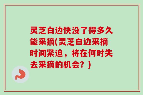 灵芝白边快没了得多久能采摘(灵芝白边采摘时间紧迫,将在何时失去采摘的机会?)-第1张图片-卓越灵芝孢子粉 灵芝白边快没了得多久能采摘(灵芝白边采摘时间紧迫,将在何时失去采摘的机会?)-第1张图片-卓越灵芝孢子粉