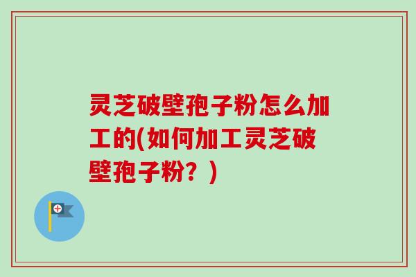 灵芝破壁孢子粉怎么加工的(如何加工灵芝破壁孢子粉?)-第1张图片-卓越灵芝孢子粉 灵芝破壁孢子粉怎么加工的(如何加工灵芝破壁孢子粉?)-第1张图片-卓越灵芝孢子粉