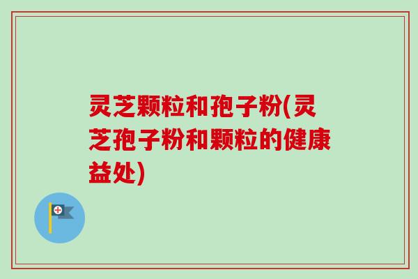 灵芝颗粒和孢子粉(灵芝孢子粉和颗粒的健康益处)-第1张图片-卓越灵芝孢子粉 灵芝颗粒和孢子粉(灵芝孢子粉和颗粒的健康益处)-第1张图片-卓越灵芝孢子粉