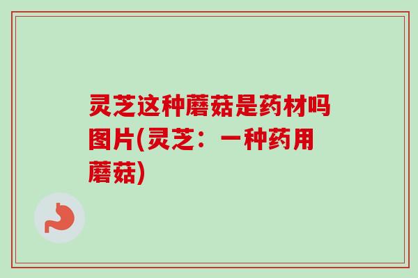 灵芝这种蘑菇是药材吗图片(灵芝:一种药用蘑菇)-第1张图片-卓越灵芝孢子粉 灵芝这种蘑菇是药材吗图片(灵芝:一种药用蘑菇)-第1张图片-卓越灵芝孢子粉