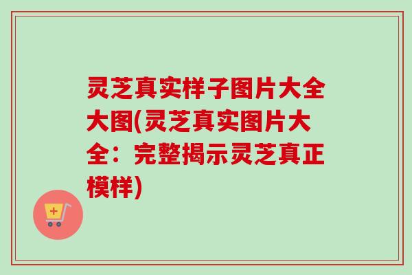 灵芝真实样子图片大全大图(灵芝真实图片大全:完整揭示灵芝真正模样)-第1张图片-卓越灵芝孢子粉 灵芝真实样子图片大全大图(灵芝真实图片大全:完整揭示灵芝真正模样)-第1张图片-卓越灵芝孢子粉
