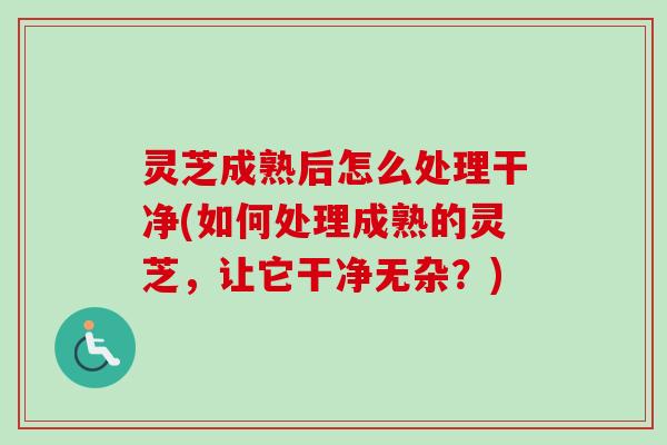 灵芝成熟后怎么处理干净(如何处理成熟的灵芝，让它干净无杂？)-第1张图片-卓越灵芝孢子粉