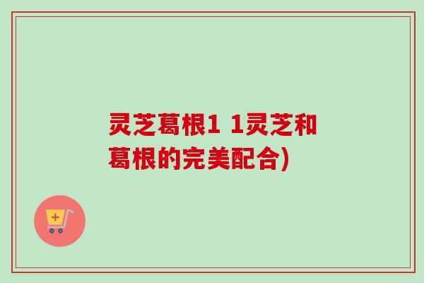 灵芝葛根1 1灵芝和葛根的完美配合)-第1张图片-卓越灵芝孢子粉 灵芝葛根1 1灵芝和葛根的完美配合)-第1张图片-卓越灵芝孢子粉