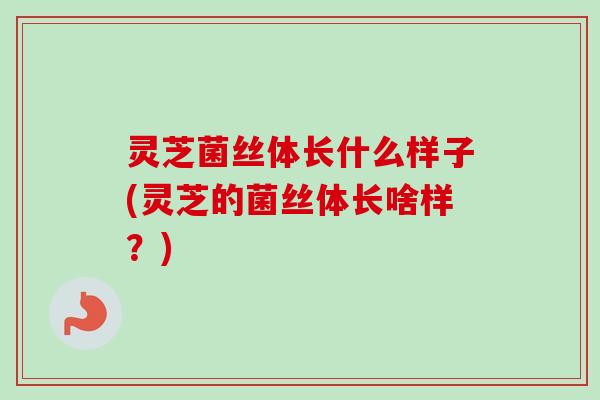 灵芝菌丝体长什么样子(灵芝的菌丝体长啥样?)-第1张图片-卓越灵芝孢子粉 灵芝菌丝体长什么样子(灵芝的菌丝体长啥样?)-第1张图片-卓越灵芝孢子粉
