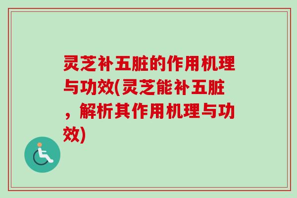 灵芝补五脏的作用机理与功效(灵芝能补五脏,解析其作用机理与功效)-第1张图片-卓越灵芝孢子粉 灵芝补五脏的作用机理与功效(灵芝能补五脏,解析其作用机理与功效)-第1张图片-卓越灵芝孢子粉