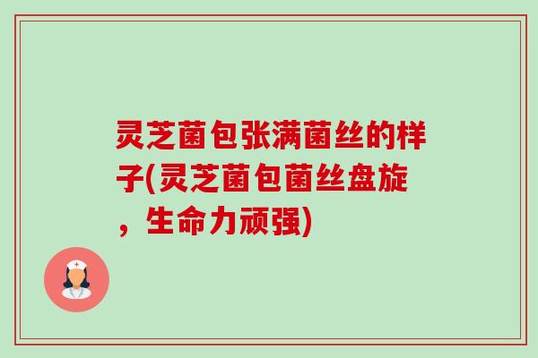 灵芝菌包张满菌丝的样子(灵芝菌包菌丝盘旋，生命力顽强)-第1张图片-卓越灵芝孢子粉