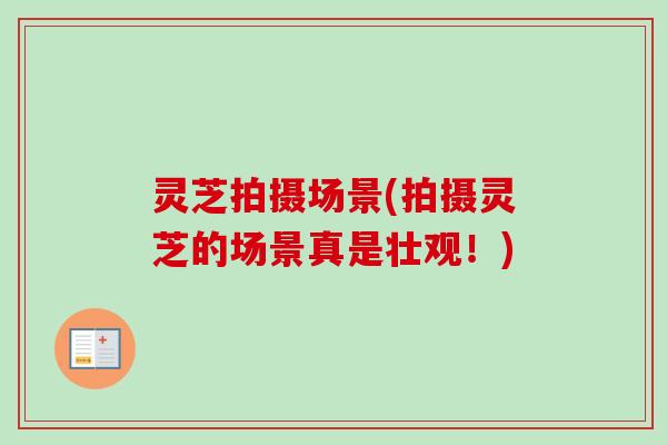 灵芝拍摄场景(拍摄灵芝的场景真是壮观!)-第1张图片-卓越灵芝孢子粉 灵芝拍摄场景(拍摄灵芝的场景真是壮观!)-第1张图片-卓越灵芝孢子粉