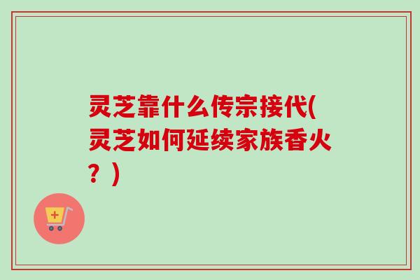灵芝靠什么传宗接代(灵芝如何延续家族香火?)-第1张图片-卓越灵芝孢子粉 灵芝靠什么传宗接代(灵芝如何延续家族香火?)-第1张图片-卓越灵芝孢子粉