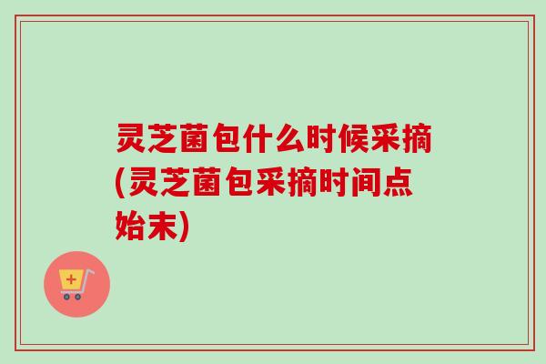灵芝菌包什么时候采摘(灵芝菌包采摘时间点始末)-第1张图片-卓越灵芝孢子粉 灵芝菌包什么时候采摘(灵芝菌包采摘时间点始末)-第1张图片-卓越灵芝孢子粉