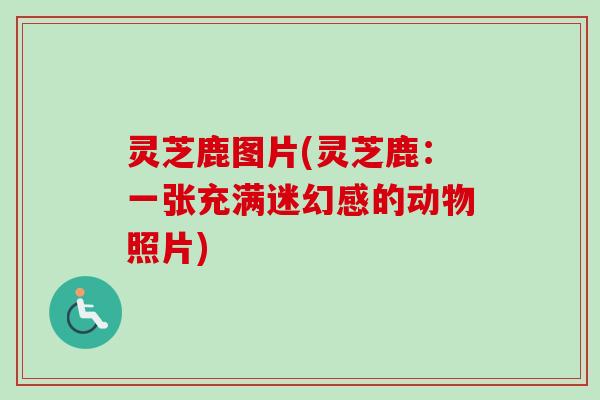 灵芝鹿图片(灵芝鹿:一张充满迷幻感的动物照片)-第1张图片-卓越灵芝孢子粉 灵芝鹿图片(灵芝鹿:一张充满迷幻感的动物照片)-第1张图片-卓越灵芝孢子粉