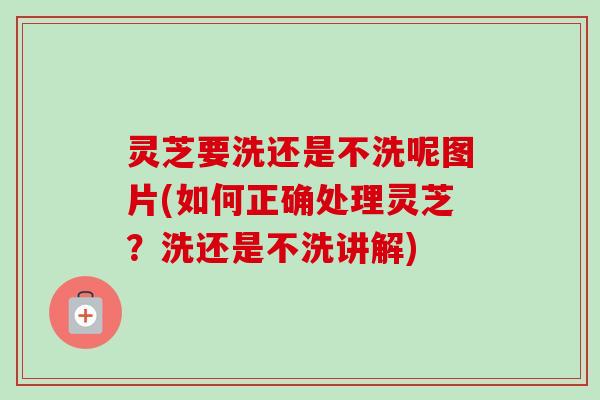灵芝要洗还是不洗呢图片(如何正确处理灵芝?洗还是不洗讲解)-第1张图片-卓越灵芝孢子粉 灵芝要洗还是不洗呢图片(如何正确处理灵芝?洗还是不洗讲解)-第1张图片-卓越灵芝孢子粉