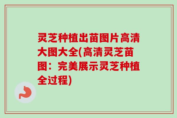 灵芝种植出苗图片高清大图大全(高清灵芝苗图:完美展示灵芝种植全过程)-第1张图片-卓越灵芝孢子粉 灵芝种植出苗图片高清大图大全(高清灵芝苗图:完美展示灵芝种植全过程)-第1张图片-卓越灵芝孢子粉