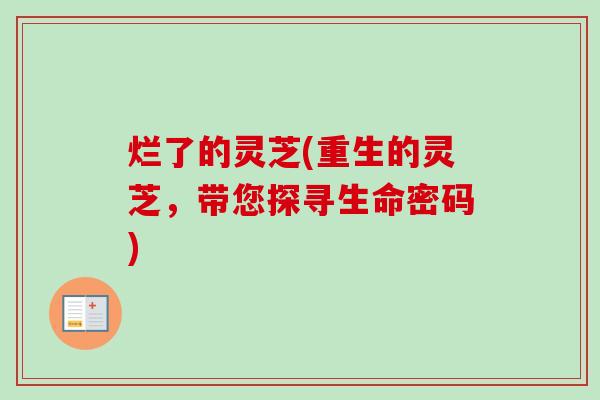烂了的灵芝(重生的灵芝，带您探寻生命密码)-第1张图片-卓越灵芝孢子粉
