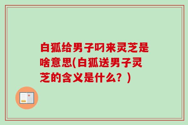 白狐给男子叼来灵芝是啥意思(白狐送男子灵芝的含义是什么?)-第1张图片-卓越灵芝孢子粉 白狐给男子叼来灵芝是啥意思(白狐送男子灵芝的含义是什么?)-第1张图片-卓越灵芝孢子粉