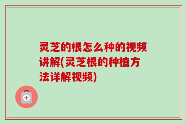 灵芝的根怎么种的视频讲解(灵芝根的种植方法详解视频)-第1张图片-卓越灵芝孢子粉 灵芝的根怎么种的视频讲解(灵芝根的种植方法详解视频)-第1张图片-卓越灵芝孢子粉