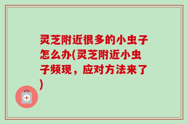 灵芝附近很多的小虫子怎么办(灵芝附近小虫子频现,应对方法来了)-第1张图片-卓越灵芝孢子粉 灵芝附近很多的小虫子怎么办(灵芝附近小虫子频现,应对方法来了)-第1张图片-卓越灵芝孢子粉