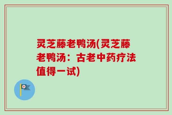 灵芝藤老鸭汤(灵芝藤老鸭汤：古老中药疗法值得一试)-第1张图片-卓越灵芝孢子粉