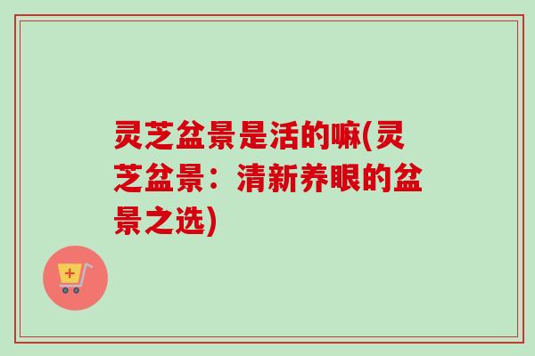 灵芝盆景是活的嘛(灵芝盆景:清新养眼的盆景之选)-第1张图片-卓越灵芝孢子粉 灵芝盆景是活的嘛(灵芝盆景:清新养眼的盆景之选)-第1张图片-卓越灵芝孢子粉