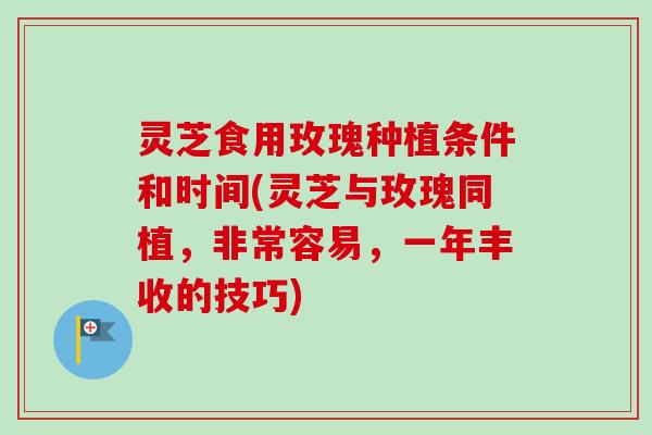 灵芝食用玫瑰种植条件和时间(灵芝与玫瑰同植,非常容易,一年丰收的技巧)-第1张图片-卓越灵芝孢子粉 灵芝食用玫瑰种植条件和时间(灵芝与玫瑰同植,非常容易,一年丰收的技巧)-第1张图片-卓越灵芝孢子粉