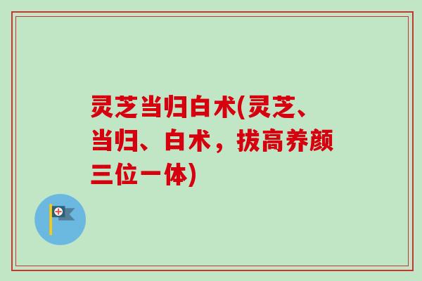 灵芝当归白术(灵芝、当归、白术，拔高养颜三位一体)-第1张图片-卓越灵芝孢子粉