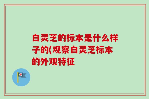 白灵芝的标本是什么样子的(观察白灵芝标本的外观特征-第1张图片-卓越灵芝孢子粉