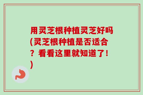 用灵芝根种植灵芝好吗(灵芝根种植是否适合?看看这里就知道了!)-第1张图片-卓越灵芝孢子粉 用灵芝根种植灵芝好吗(灵芝根种植是否适合?看看这里就知道了!)-第1张图片-卓越灵芝孢子粉