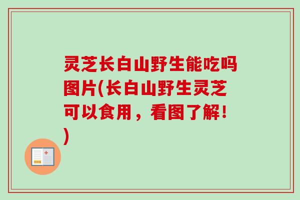 灵芝长白山野生能吃吗图片(长白山野生灵芝可以食用,看图了解!)-第1张图片-卓越灵芝孢子粉 灵芝长白山野生能吃吗图片(长白山野生灵芝可以食用,看图了解!)-第1张图片-卓越灵芝孢子粉